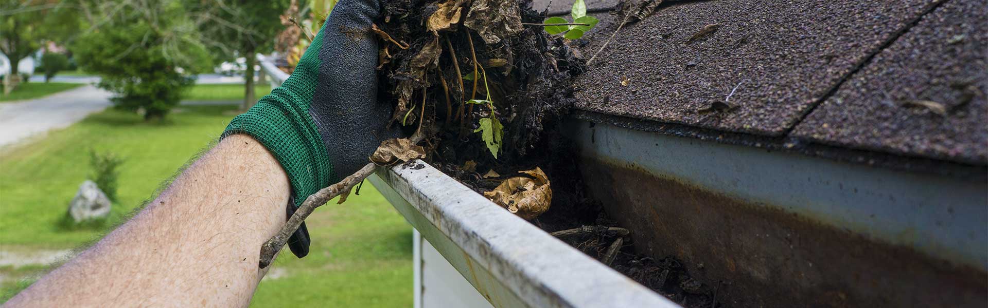 Gutter Cleaning The Central Coast's Highest Rated Service