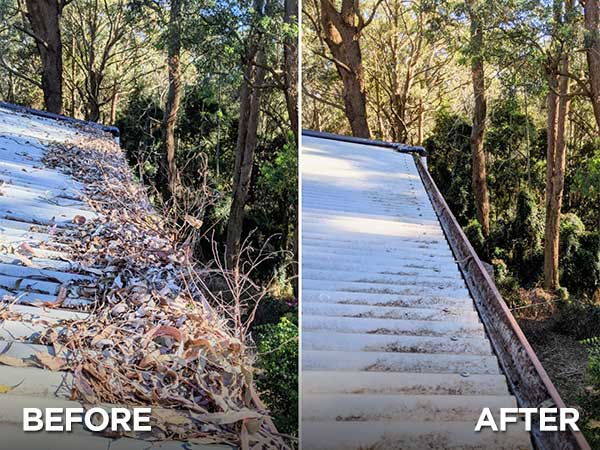 Gutter Cleaning - Before and After (2)