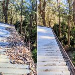 gutter cleaning
