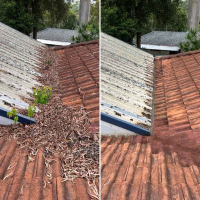 Removing leaf litter which had accumulated on this roof and gutters