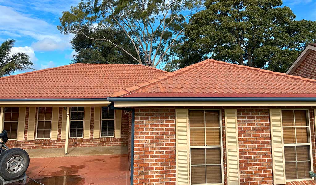 Clean Roof After Thorough Soft Washing