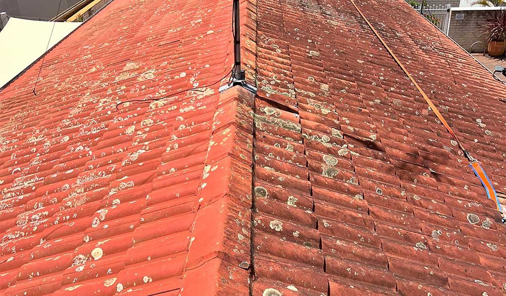 Roof Soft Washing Progress Showing Removal of Lichen Build Up