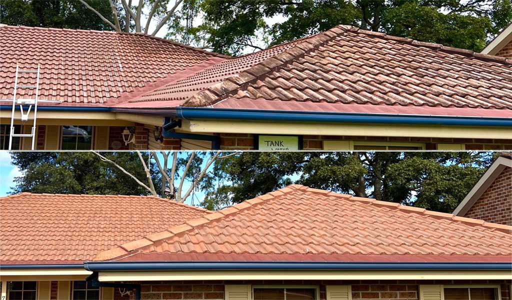 Roof Softwash Before After