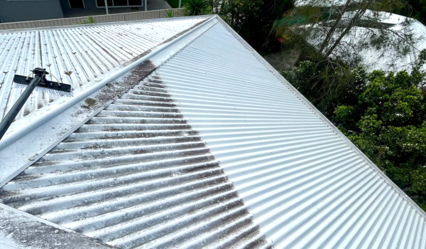 Roof Cleaning Central Coast - metal roof soft wash