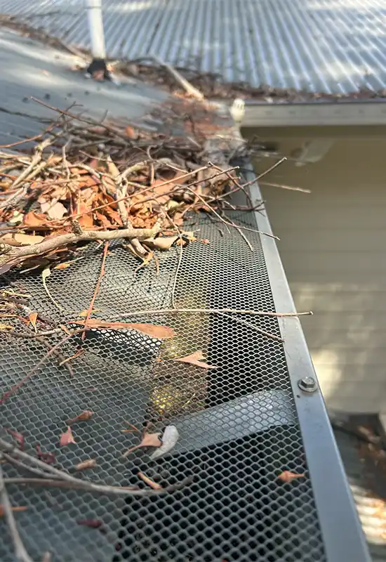 Gutter guard doing its job at Niagara Park (1)