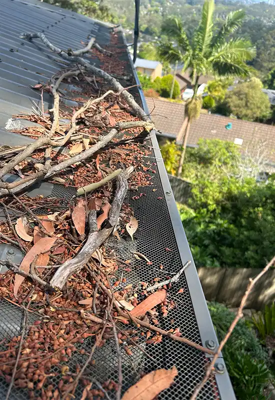 Gutter guard doing its job at Niagara Park (2)