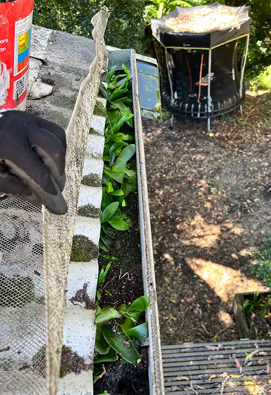 Gutter guard is not a magic solution! These gutters should have been on a more regular maintenance schedule.