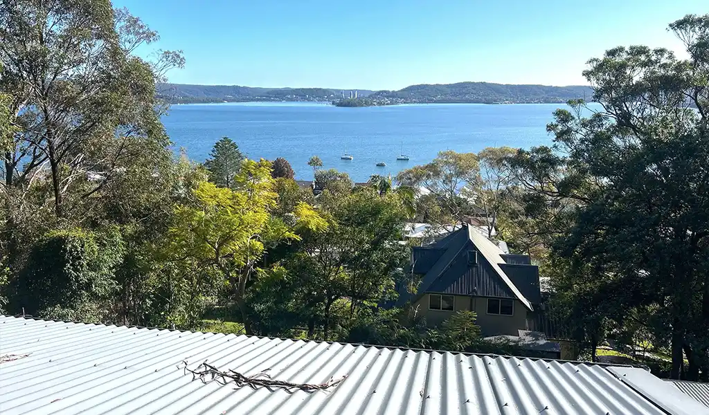 Lots of trees near the south of the Central Coast!