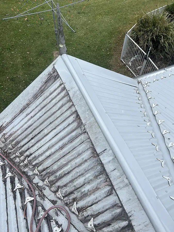 Roof cleaning at Kangy Angy